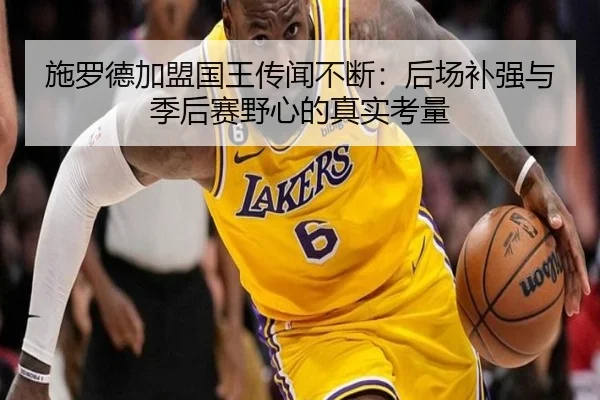 施罗德加盟国王传闻不断：后场补强与季后赛野心的真实考量